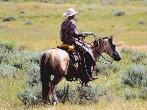Installing electric fencing for horses