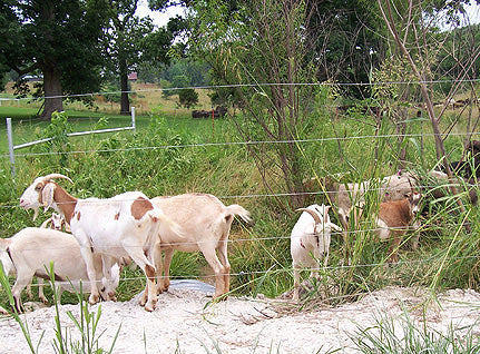 Temporary Fencing Types / The Electric Fence Superstore