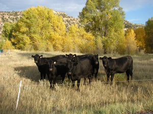 Livestock Fencing Cost Share Program / Valley Farm Supply