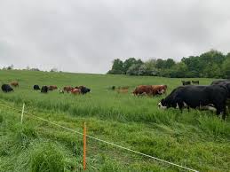 Farming assistance from recent storms and hurricane