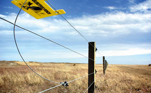 Why is Lightning Protection important for Electric Fence Chargers