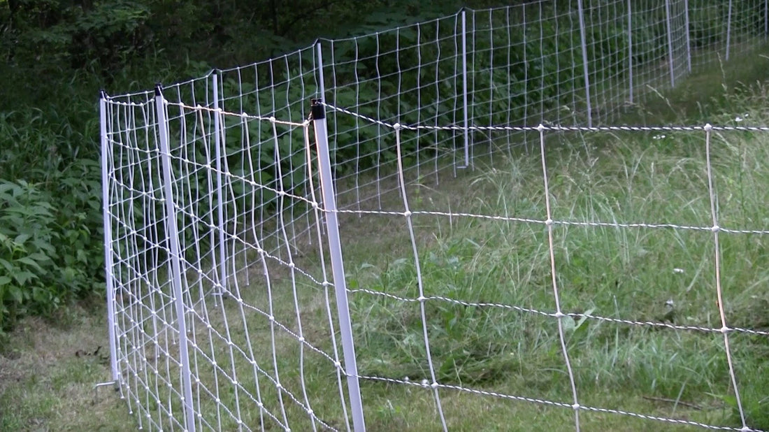 Fencing program may keep bears at bay