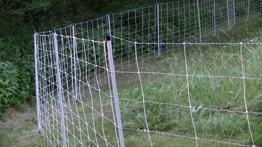 Fencing program may keep bears at bay