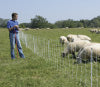 electric poultry netting fence and sheep net