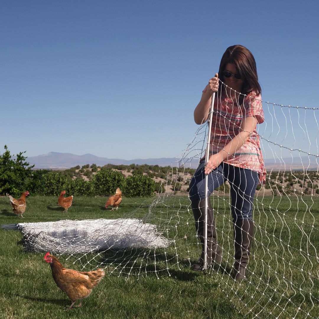 Green Electric Fence Poultry Netting