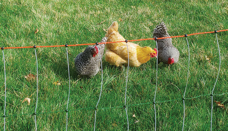 Solar Chicken / Poultry Electric Netting Fence Starter Kit / All-in-one –  Gallagher Electric Fence Products from Valley Farm Supply