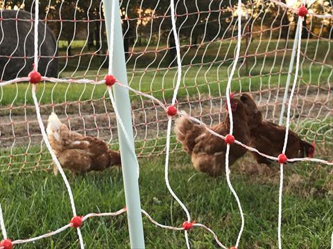 Thunderbird Quality Poultry Electric Fence Netting 25mt With Gate