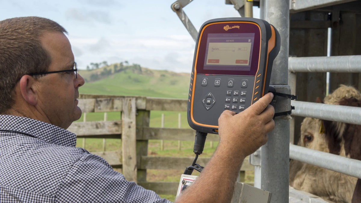 TWR-5 Livestock Weigh Scale & Data Collector - Gallagher