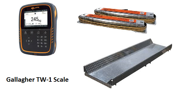 TW-1 Scale Indicator, Load Bars, Platform - Gallagher Electric Fence