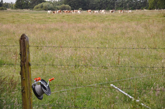 Question regarding electric fence effectiveness against wildlife....