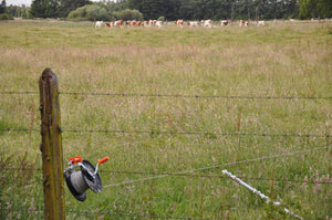 Fence Posts and Insulators | Gallagher Electric Fencing Store