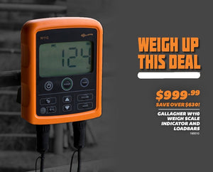 Save loads on the Gallagher W110 Digital Weigh System this month!