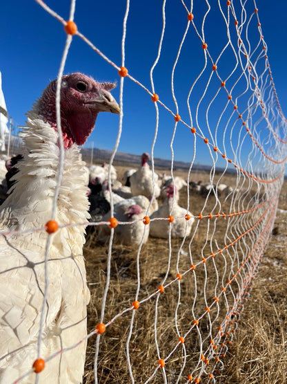 Gallagher Poultry Netting / PremierElectric Fence Net