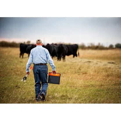 Cattle Rancher walking through a field with cows, holding a Gallagher S120 and ring top fence posts