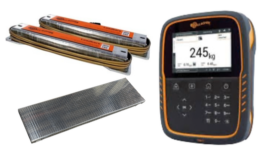 Gallagher TW-1 Cattle scale display unit with an orange and black casing showing '245 kg' on its screen, alongside two alleyway loadbars and a textured metal platform on a white background.