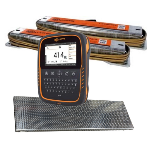 A Gallagher TW-3 electroniccattle and livestock weigh scale with a black and orange casing stands in front of two alleyway load bars on a white background, with a textured metal platform in front of it.