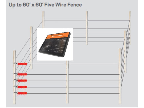 Solar fence charger on a diagram of a five-wire fence system with dimensions 60' x 60'.