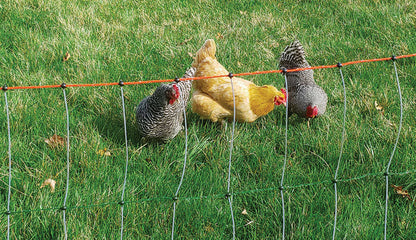 Small Starter Gallagher Solar Chicken Netting Kit