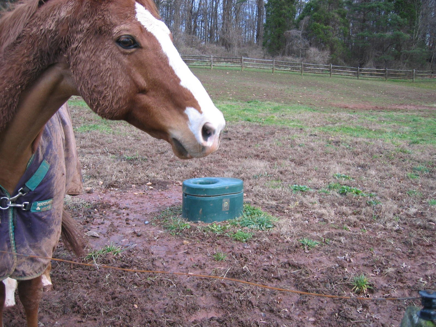 1 Hole Lapp Energy Free Waterer + Ships Free! Best Seller! - Gallagher Electric Fence