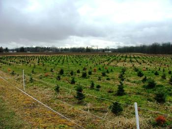 10 Acre Deer & Wildlife Food Plot Fence Kit  on farm with plants