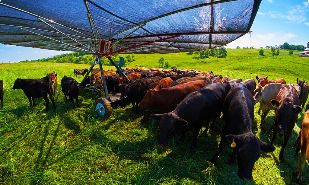 Shade Haven SH1200 Portable Shade Structure | Request a Quote - Gallagher Electric Fence