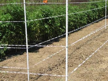 10 Acre Deer & Wildlife Food Plot Fence Kit  along planted food sour e