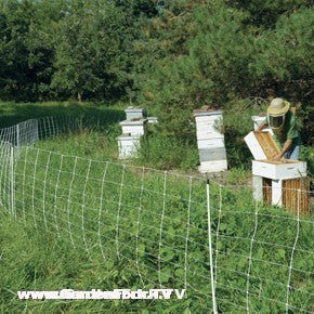 Beekeeper checking hives for honey on farm with a Gallagher Solar Beehive  Netting Kit and green grass