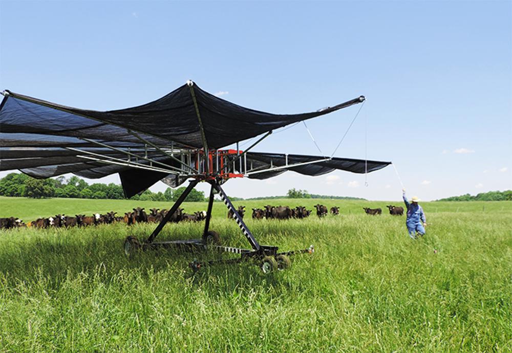 Shade Haven SH1200 Portable Shade Structure | Request a Quote - Gallagher Electric Fence