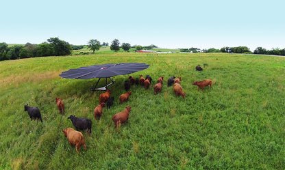 Shade Haven SH1200 Portable Shade Structure | Request a Quote - Gallagher Electric Fence