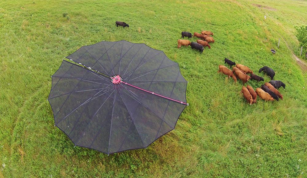 Shade Haven SH1200 Portable Shade Structure | Request a Quote - Gallagher Electric Fence