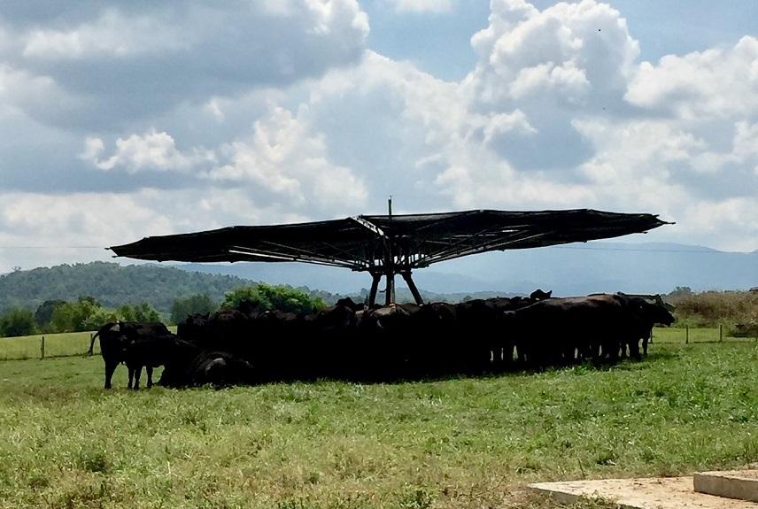 Shade Haven SH1200 Portable Shade Structure | Request a Quote - Gallagher Electric Fence