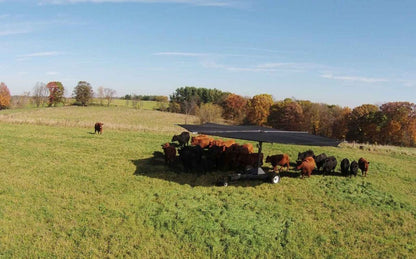 Shade Haven SH600 Portable Grazing Shade Structure | Request a Quote - Gallagher Electric Fence