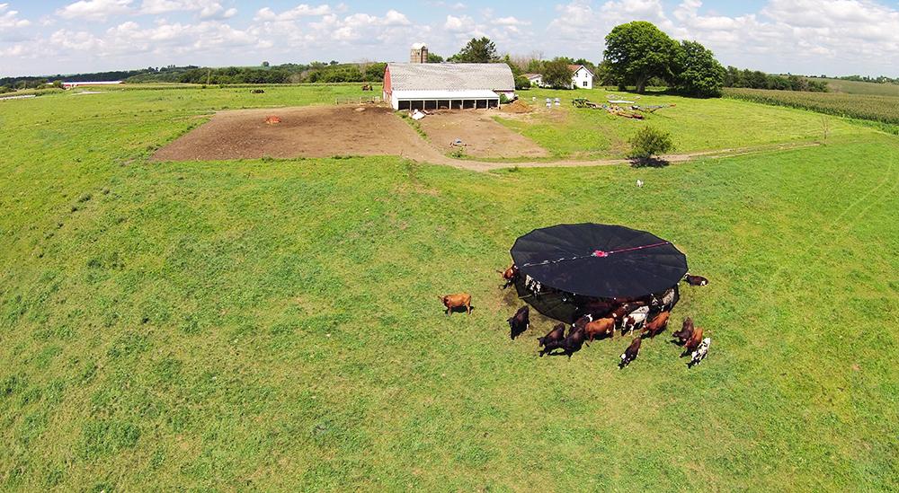 Shade Haven SH1200 Portable Shade Structure | Request a Quote - Gallagher Electric Fence