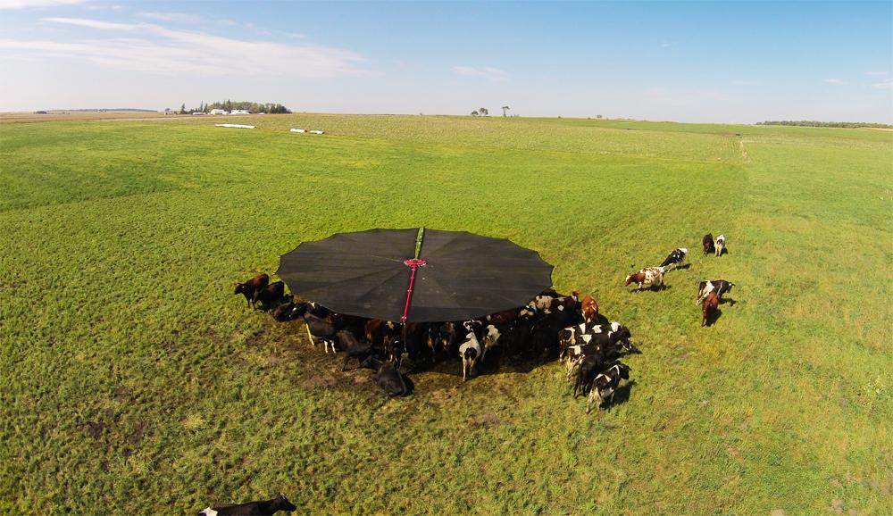 Shade Haven SH1200 Portable Shade Structure | Request a Quote - Gallagher Electric Fence