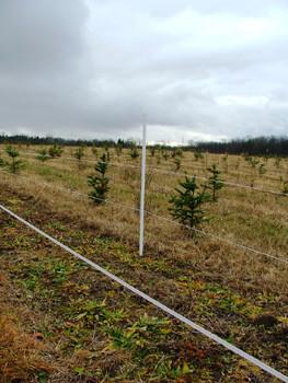 Deer & Wildlife Food Plot Fence Kit from Gallagher Electric Fence on farm with Christmas trees