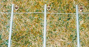 3 Ground Rod Kit - Gallagher Electric Fence
