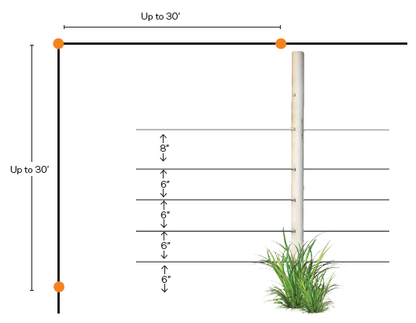 How to install Solar Beehive Electric Fence  spacing and layout.