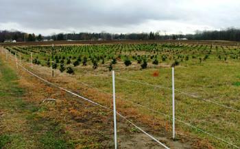 10 Acre Deer & Wildlife Food Plot Fence Kit for deer hunting
