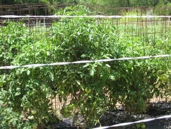 Gallagher garden,  Deer & Wildlife Electric Fence