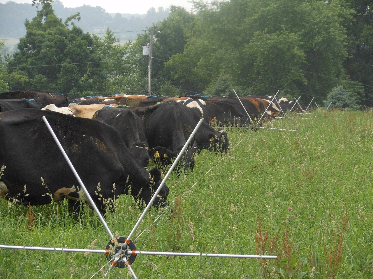 1 Tumble Wheel - Gallagher Electric Fence