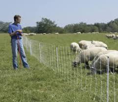 Electric Sheep, Goat & Garden Netting - 32"X164' - Gallagher Electric Fence