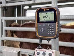 TW-1 Scale Indicator, Load Bars, Platform - Gallagher Electric Fence